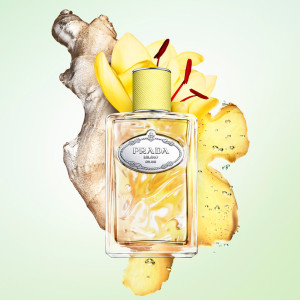 Infusion de Gingembre - Eau de Parfum Infusion de Gingembre - Eau de Parfum